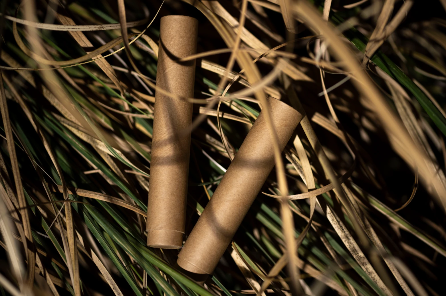Paper tubes photographed among natural leaves and stems