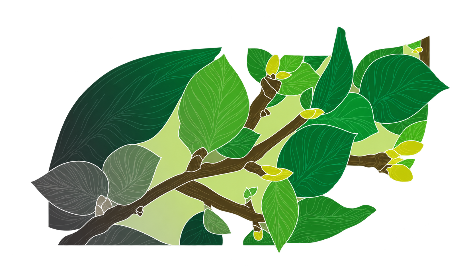 Botanical leaves and branches extending the secondary logo's silhouette